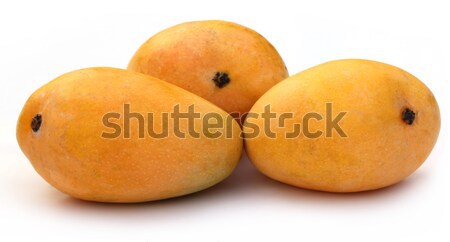 Fresh Mangoes Stock photo © bdspn