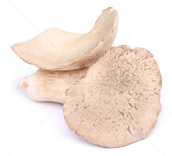 Comestível cogumelo branco grupo legumes cozinhar Foto stock © bdspn