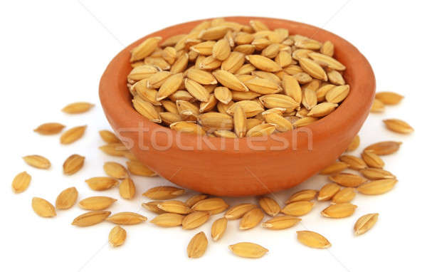 Paddy seeds on clay pot Stock photo © bdspn
