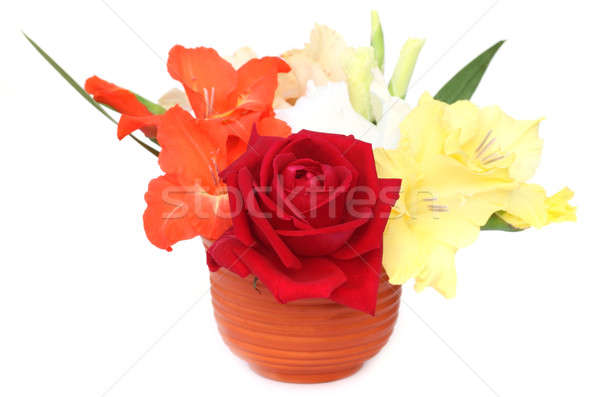 Blumenstrauß Blume stieg Garten Bouquet frischen Stock foto © bdspn