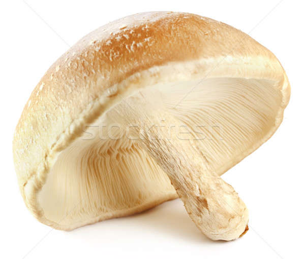 Comestível cogumelo branco japonês fresco dieta Foto stock © bdspn