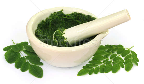 Stock photo: Moringa leaves with mortar and pestle