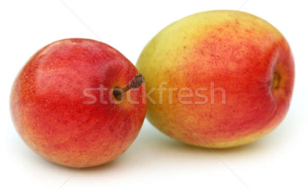 Ripe juicy jujube fruits Stock photo © bdspn