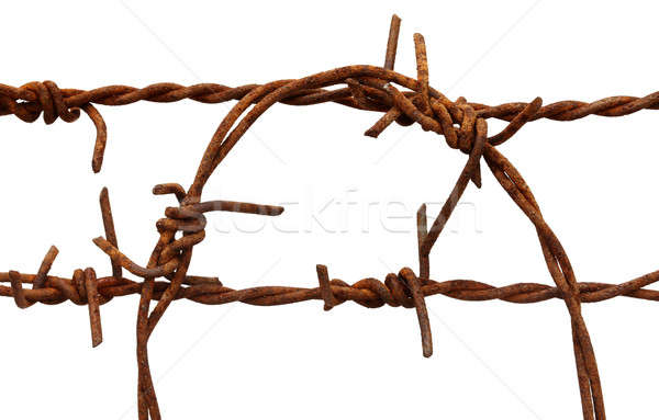 Rusty barbed wire Stock photo © bdspn
