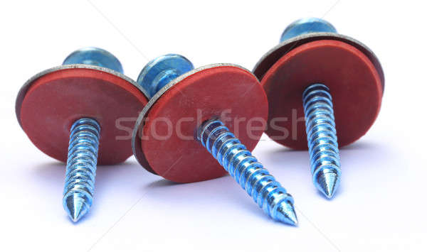 Screw with washer Stock photo © bdspn