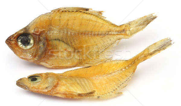Getrocknet glasigen Fisch Gruppe indian Makro Stock foto © bdspn