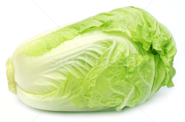 中国的 · 卷心菜 · 白 · 背景 · 植物 / fresh chinese cabbage