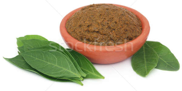 Ayurvedic henna leaves with paste Stock photo © bdspn