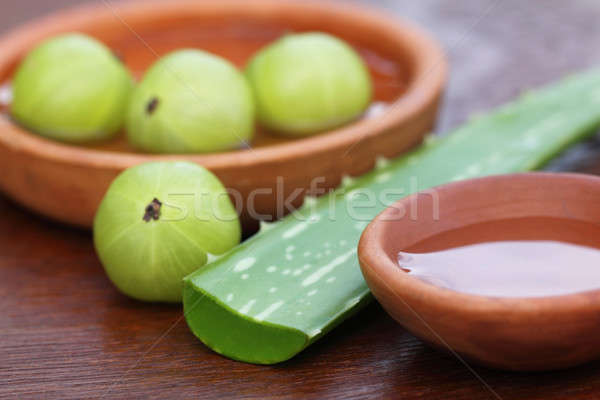 Aloe wenig Schalen Wasser Essen Essen Stock foto © bdspn