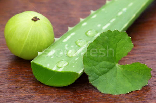 Stock photo: Medicinal aloe with thankuni leaves and amla