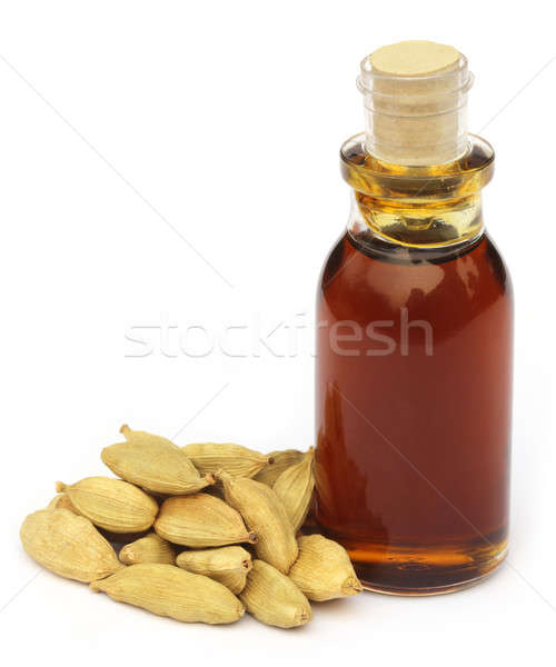Cardamomo semi olio bianco medicina bottiglia Foto d'archivio © bdspn