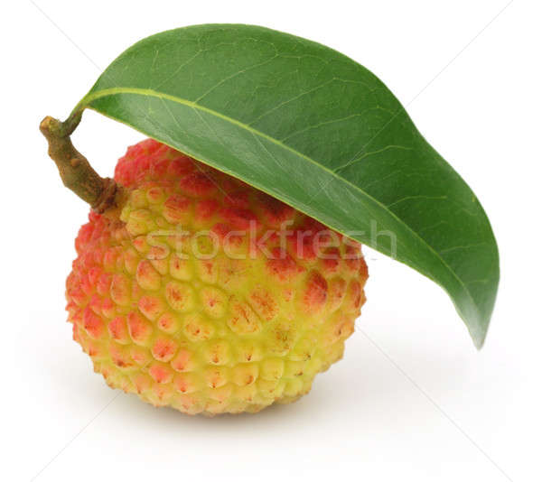 Lychee with green leaf  Stock photo © bdspn
