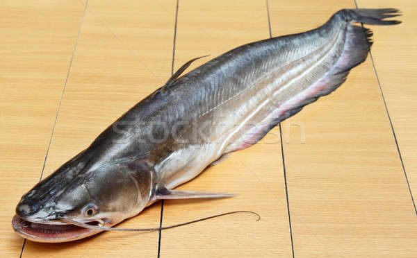 South Asian Boal fish  Stock photo © bdspn