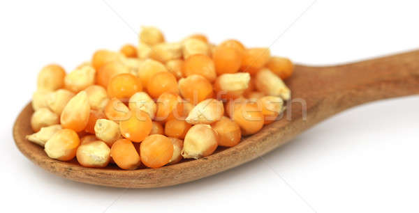 Cuchara blanco textura alimentos fondo maíz Foto stock © bdspn