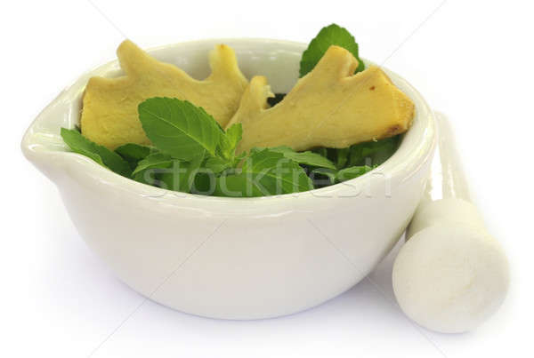 Medicinal herbs on mortar with pestle Stock photo © bdspn