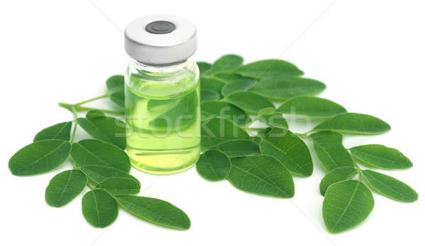 Hojas frasco blanco verde botella líquido Foto stock © bdspn