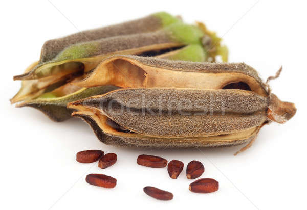 Sesame seeds Stock photo © bdspn