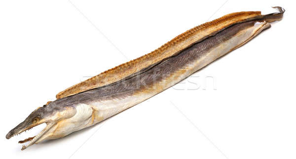 Popular dried eel fish Stock photo © bdspn