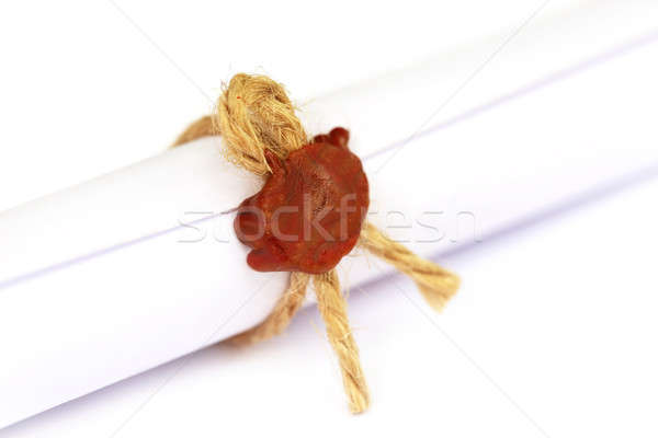 Wax seal on a rolled paper Stock photo © bdspn