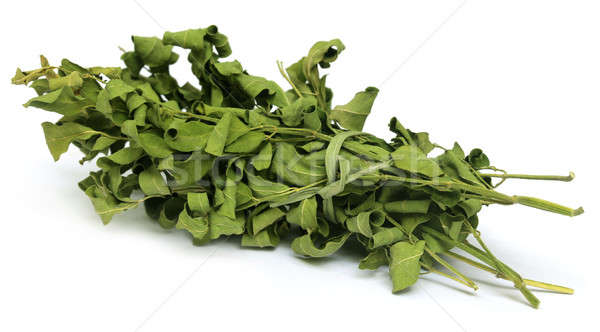 Stock photo: Dried moringa leaves