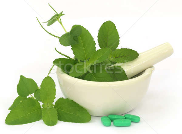 Medicinal herbs on mortar with pestle and pills Stock photo © bdspn