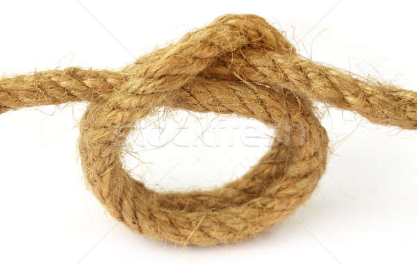 Knot on rope Stock photo © bdspn