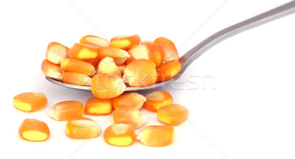 corns in a spoon Stock photo © bdspn
