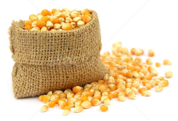 Corns in sack bag Stock photo © bdspn