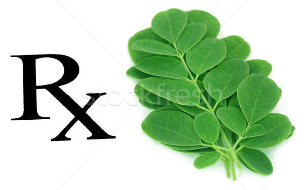 Frunze prescris alb verde medicină Imagine de stoc © bdspn