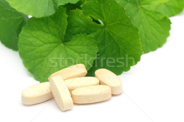Medicinal thankuni leaves with pills Stock photo © bdspn