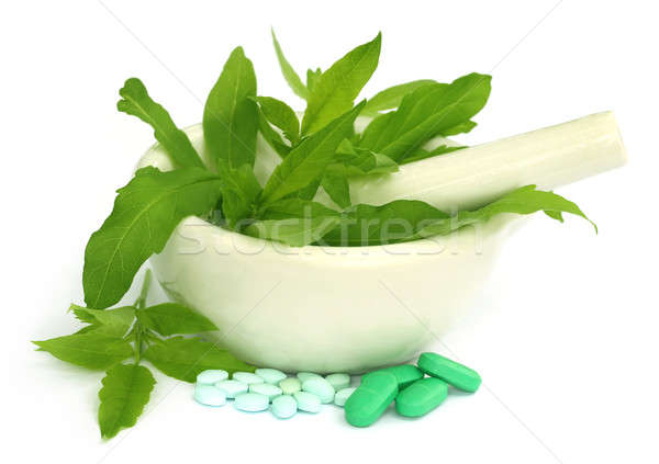 Mortar and pestle with medicinal herbs Stock photo © bdspn