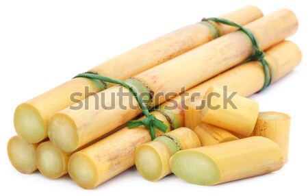 Piece of sugarcane with sugar Stock photo © bdspn