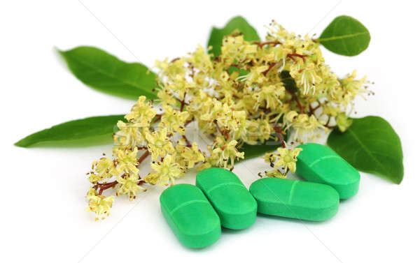 Stock photo: Henna leaves with flower and tablets