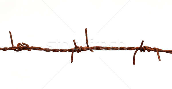 Rusty barbed wire Stock photo © bdspn