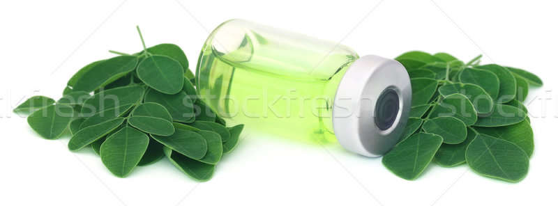 Moringa leaves with extract in a vial Stock photo © bdspn