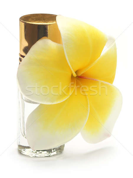 Tropical Frangipani with perfume bottle Stock photo © bdspn