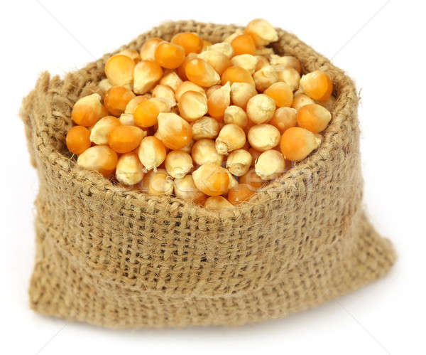Corns in sack bag Stock photo © bdspn