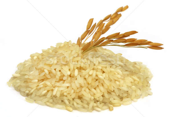 Golden paddy seeds with rice Stock photo © bdspn