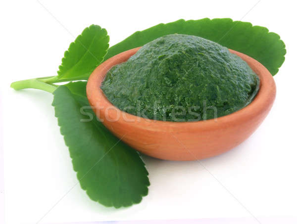 Medicinal Kalanchoe leaves and pasete Stock photo © bdspn