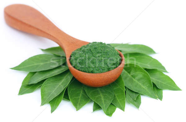 Henna frunze natură verde plantă păta Imagine de stoc © bdspn