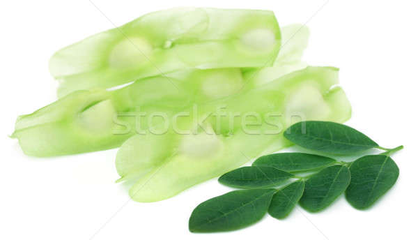 Medicinal moringa leaves with seeds Stock photo © bdspn