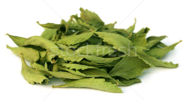 Dried Stevia leaves Stock photo © bdspn