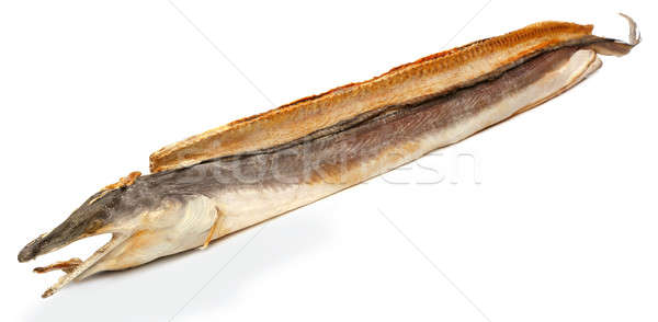Dry moray eel Stock photo © bdspn