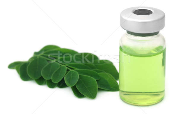 Yaprakları küçük şişe beyaz yeşil şişe sıvı Stok fotoğraf © bdspn