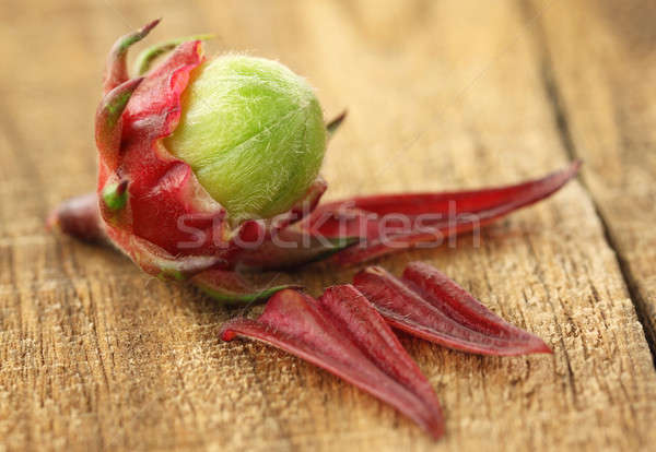 Fresh Roselle  Stock photo © bdspn