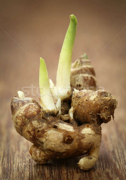 Kaempferia galanga known as aromatic ginger Stock photo © bdspn