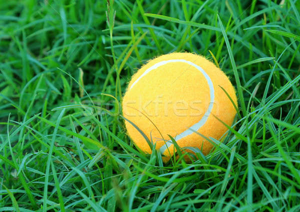 Stock foto: Tennisball · grünen · Gras · Oberfläche · Gras · Sport · grünen