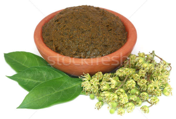 Ayurvedic henna leaves with flowers and paste Stock photo © bdspn