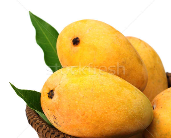 Fresh Mangoes with green leaves Stock photo © bdspn