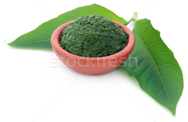 Mashed vitex Negundo or Medicinal Nishinda leaves  Stock photo © bdspn